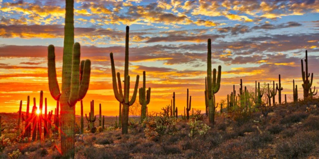 Take a close look at the beauty of cheapest city in Arizona!