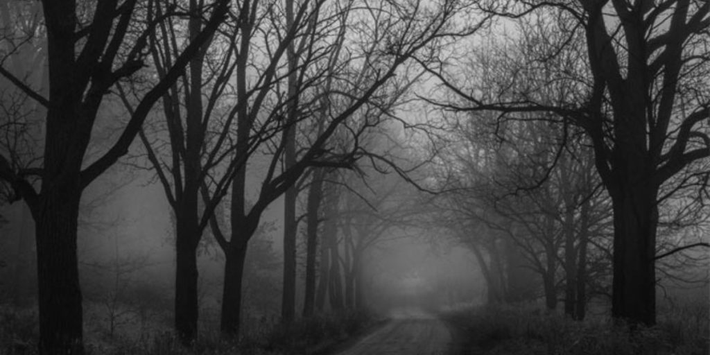 Avoid These 9 Haunted Road Trips if Visiting the US