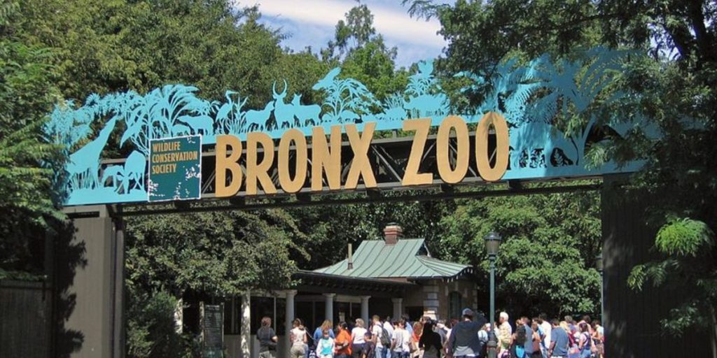 Discover 5 Largest Zoos in the US You Can Visit this Spring Season