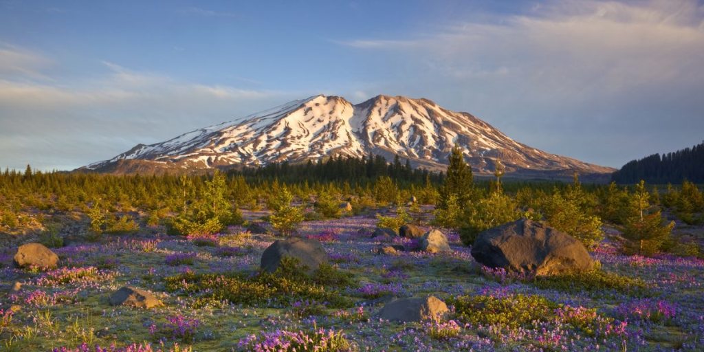 Discover 5 Most Active and Majestic Volcanoes in the US