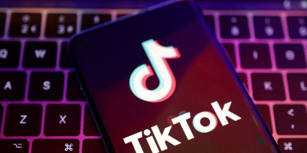 Ex-Treasury Chief Mnuchin Building Investor Group to Buy TikTok
