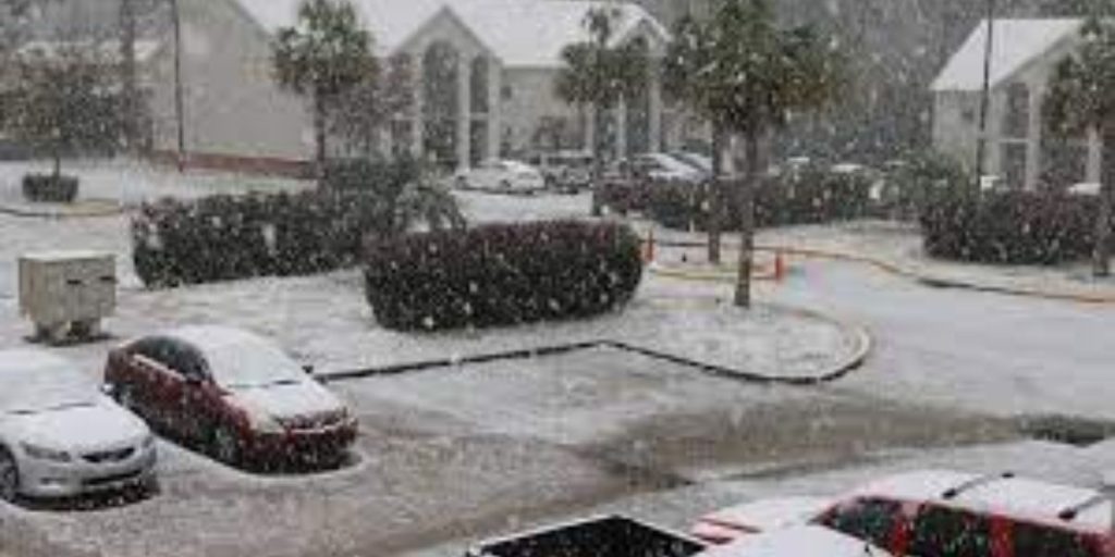 Learn About The Biggest Blizzard to Ever Hit Florida