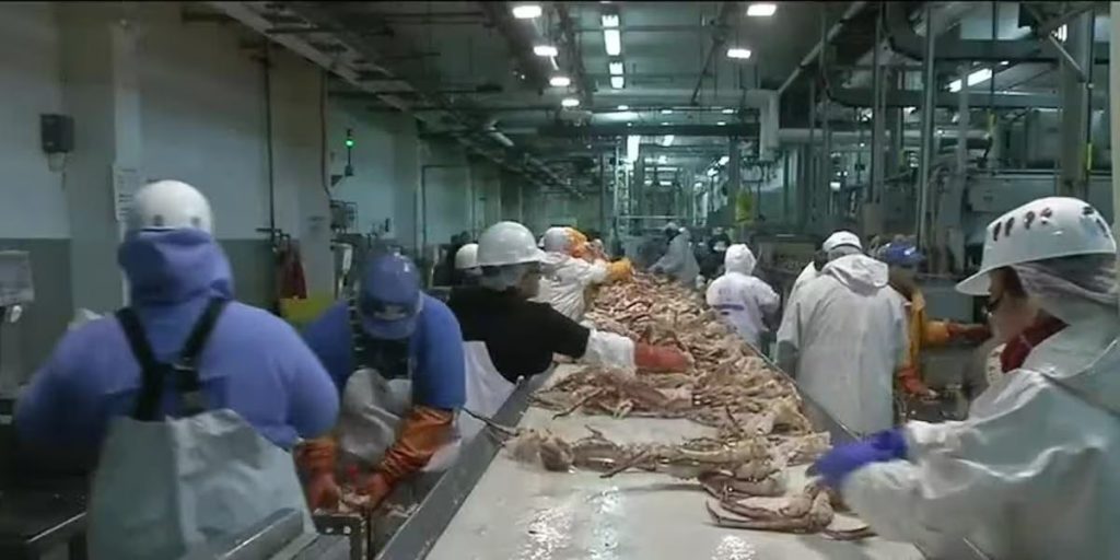 Alaska Seafood Company Announced Plans to Halter Operations by Closing Processing Plants