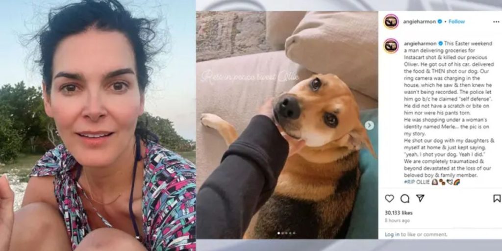 Angie Harmon alleges Instacart delivery driver shot and killed her dog