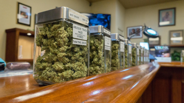 Cannabis in Georgia: What You Need to Know About Medical and Recreational Laws
