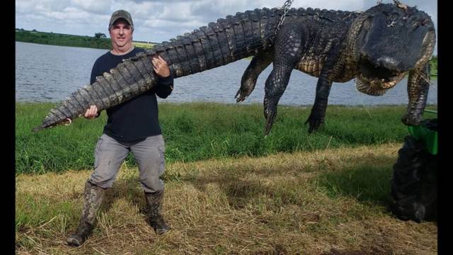 Florida’s Biggest Alligators: Meet the Record-breaking Hunters Behind the Massive Catches